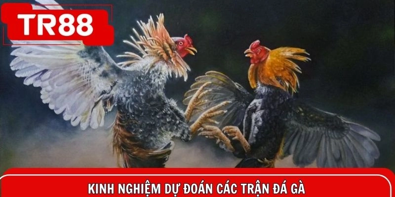 Bí kíp dự đoán các trận giao chiến cực chuẩn và thắng lớn