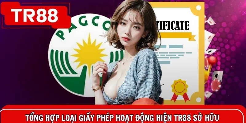 Các loại giấy phép hoạt động TR88 đang sở hữu