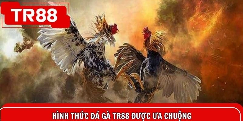 Điểm danh các hình thức đá gà TR88 nổi tiếng