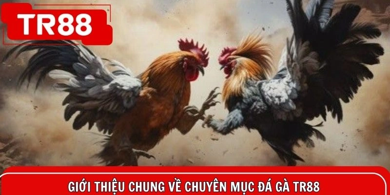 Tìm hiểu những nét chính về sảnh giao chiến của hệ thống