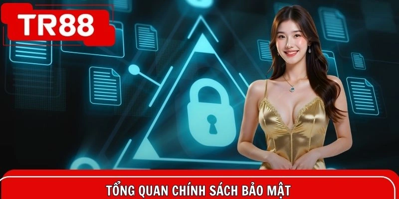Tổng quan chính sách bảo mật