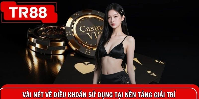 Vài nét về điều khoản sử dụng tại nền tảng giải trí trực tuyến